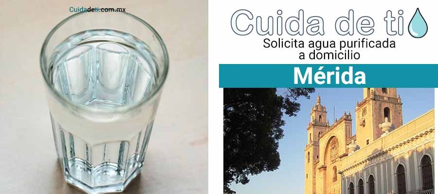 Servicio de agua purificada a domicilio en Mérida